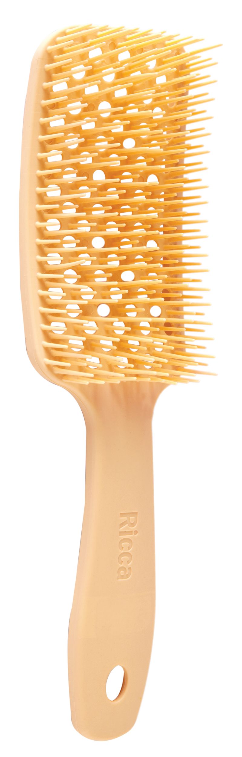 7897517910853_3.jpg